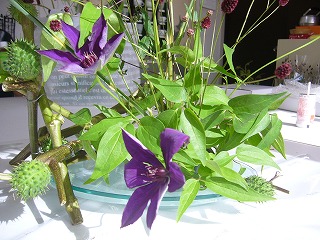 P1010655.jpg