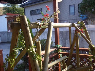 20071206_008.jpg