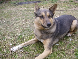 20071209_003.jpg