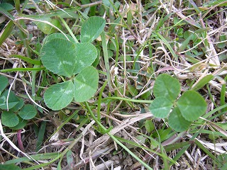 20071209_006.jpg