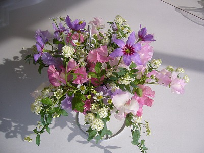 20080205_07.jpg