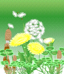 6adcf819.gif