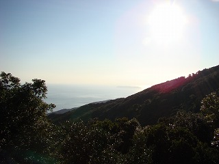 DSC00606.jpg
