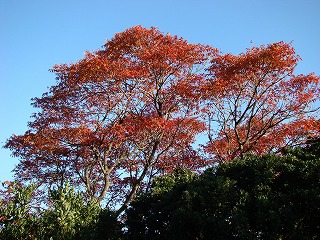 DSC00613.jpg