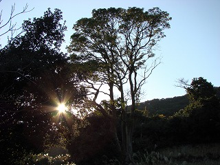 DSC00616.jpg