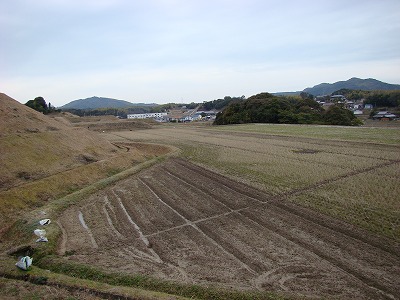 DSC00874.jpg