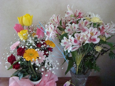 DSC01100.jpg
