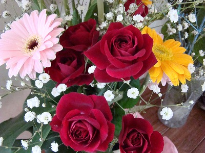 DSC01102.jpg