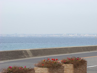 DSC01112.jpg