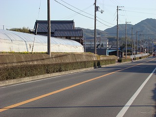 DSC01118.jpg