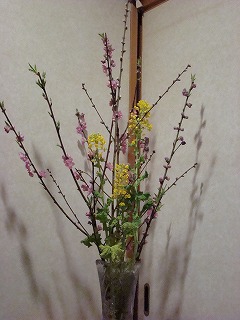 DSC01150.jpg