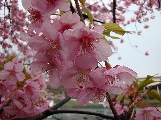 DSC01206.jpg