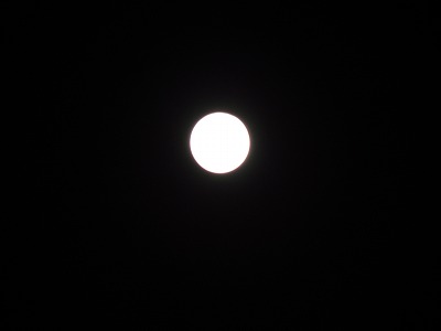 DSC01209.jpg