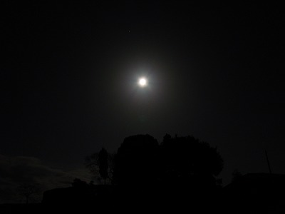 DSC01211.jpg