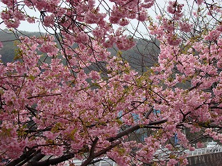 DSC01211.jpg