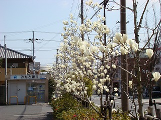 DSC01304.jpg