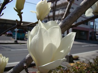 DSC01305.jpg