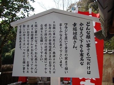 DSC01385.jpg
