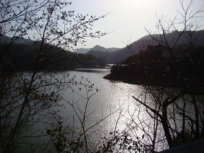 DSC01425.jpg