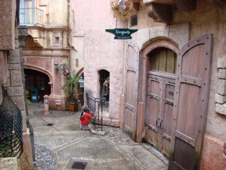 DSC01461.jpg