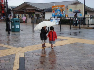 DSC01462.jpg