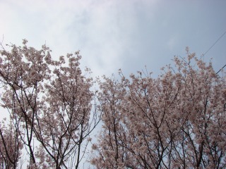 DSC01498.jpg