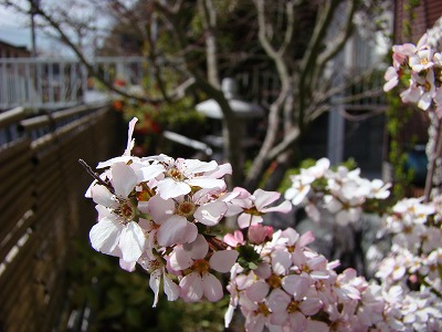 DSC01519.jpg