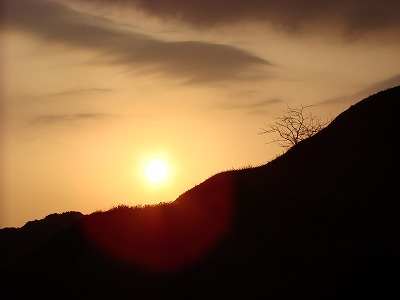 DSC01562.jpg
