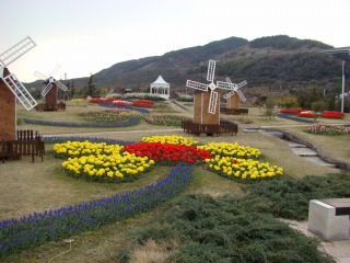 DSC01585.jpg
