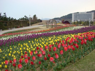 DSC01596.jpg