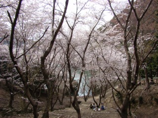 DSC01639.jpg