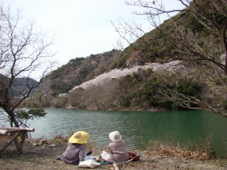 DSC01652.jpg