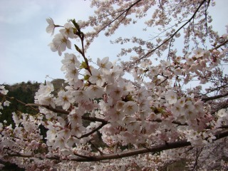 DSC01663.jpg