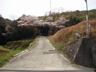 DSC01706.jpg