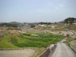 DSC01707.jpg