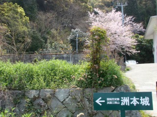 DSC01741.jpg
