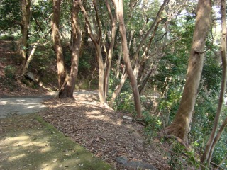 DSC01743.jpg