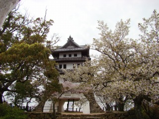 DSC01763.jpg