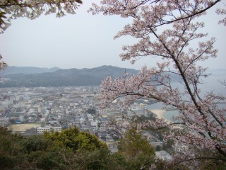 DSC01765.jpg