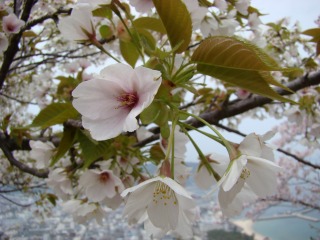 DSC01771.jpg