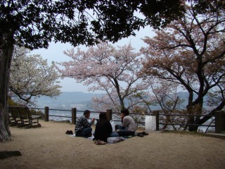 DSC01777.jpg