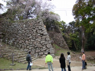 DSC01800.jpg
