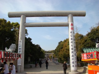 DSC01906.jpg