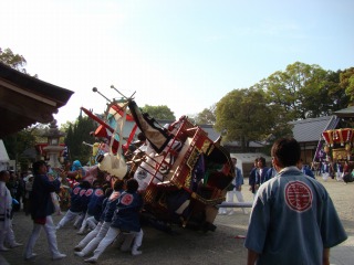 DSC01911.jpg