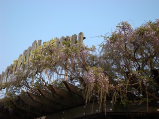 DSC02012.jpg