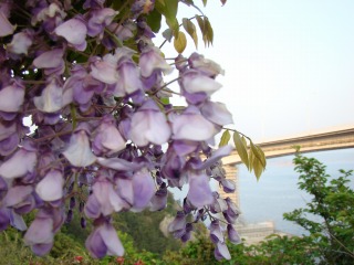 DSC02020.jpg