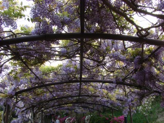 DSC02021.jpg