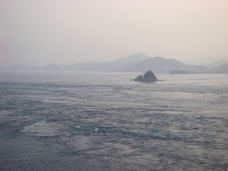 DSC02039.jpg
