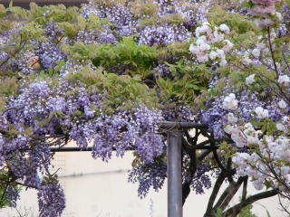 DSC02048.jpg