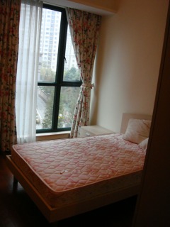 DSC02494.jpg